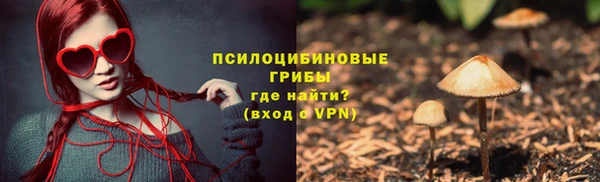 кокс Бородино