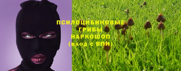 кокс Бородино