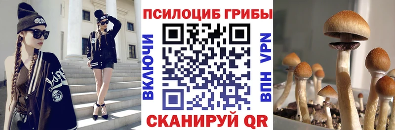 Галлюциногенные грибы Magic Shrooms  Ставрополь 
